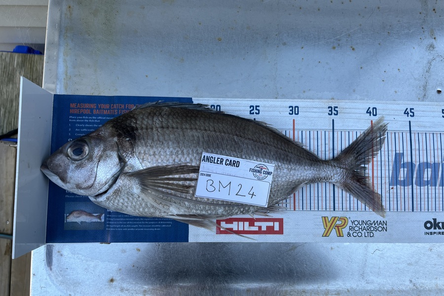 Shayne Mckenzie caught this 39.0cm Tarakihi at Taranaki during The Export NZ Fishing Competition