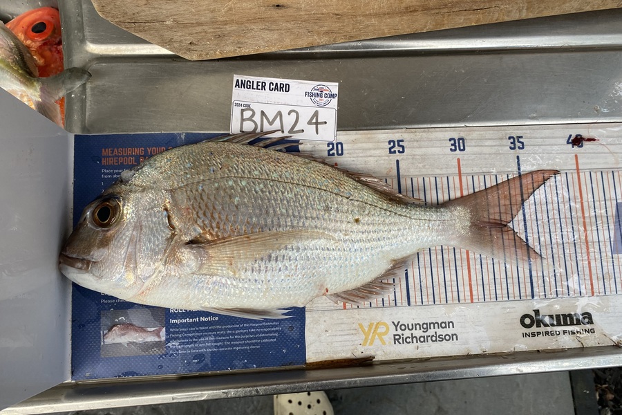 Melissa Mobbs caught this 33.5cm Snapper at Coromandel during The Export NZ Fishing Competition