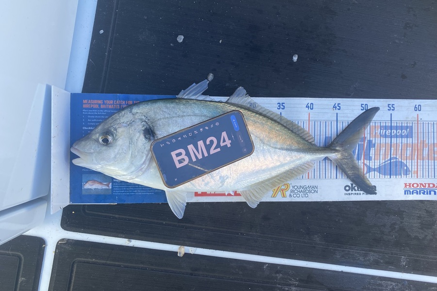 Melissa Mobbs caught this 47.0cm Trevally at Coromandel during The Export NZ Fishing Competition