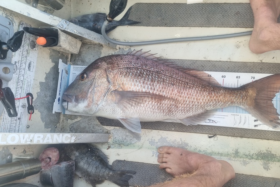 Jeremy Coakley caught this 76.0cm Snapper at Auckland during The Export NZ Fishing Competition