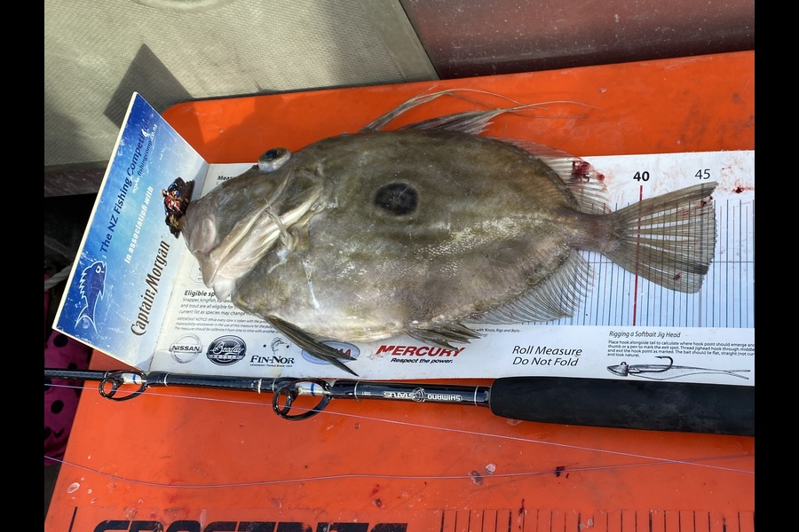 Mike Foothead caught this 46.0cm John Dory at Wellington during The Export NZ Fishing Competition