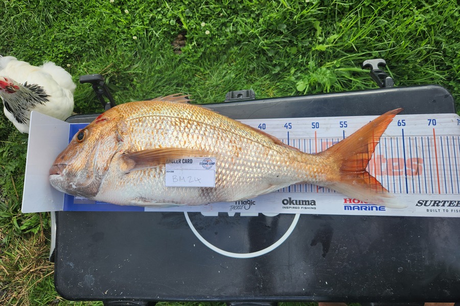 Jarrad Christie caught this 58cm Snapper at Auckland during The Export NZ Fishing Competition