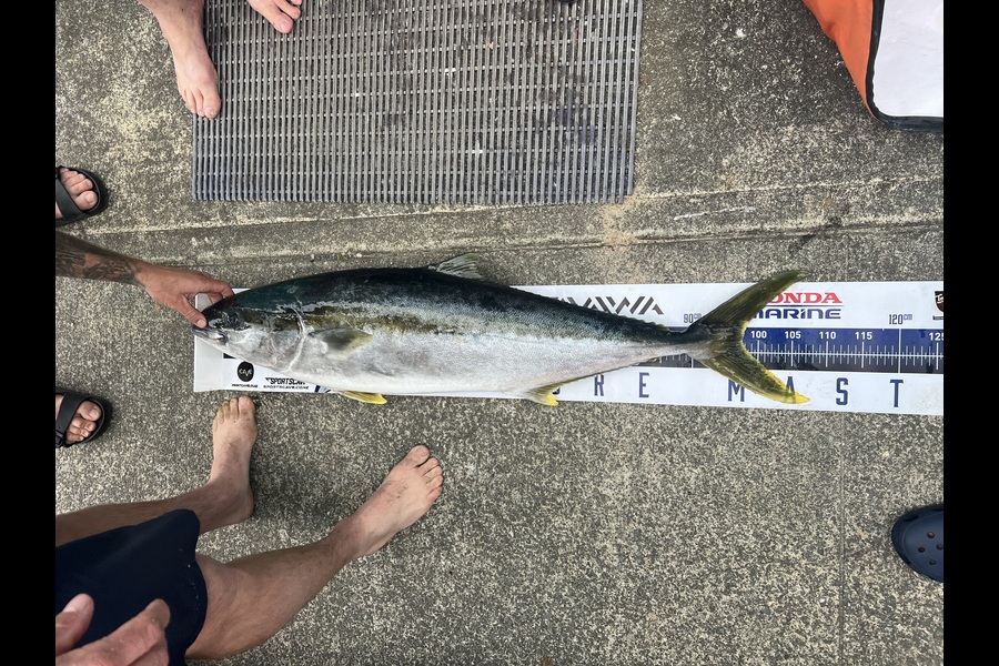 Wesley Horsfield caught this 97.5cm Kingfish at Northland during The Export NZ Fishing Competition