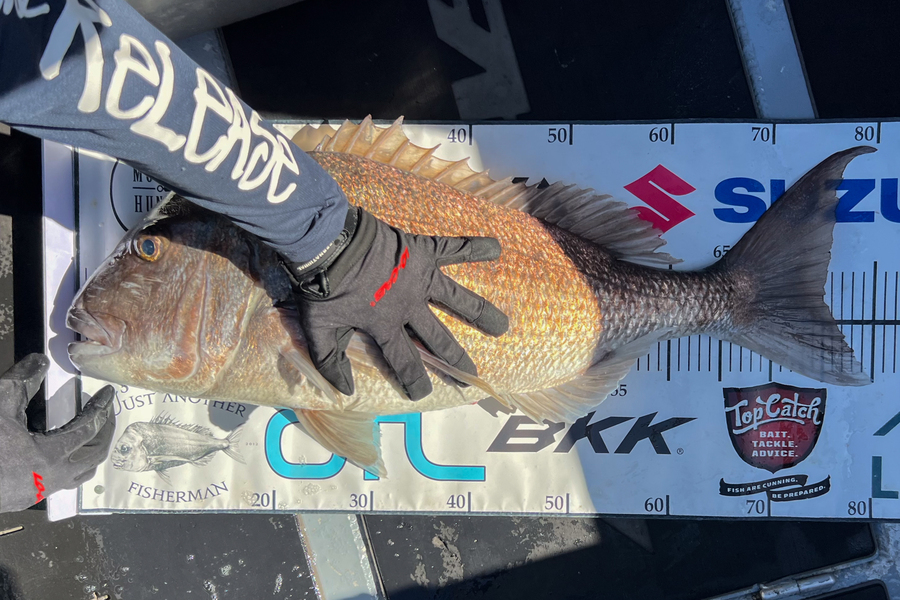 Jereme Aubertin  caught this 75cm Snapper at Northland during The Export NZ Fishing Competition
