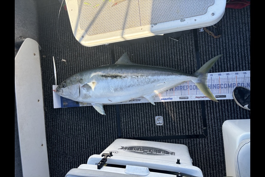 Rhys Honiss caught this 112.0cm Kingfish at Auckland during The Export NZ Fishing Competition