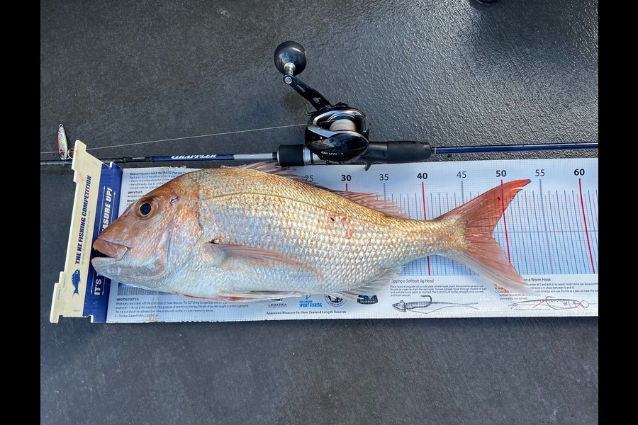 Melissa Martin caught this 48.0cm Snapper at Coromandel during The Export NZ Fishing Competition