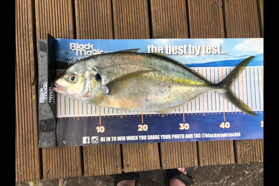 Phil Shields caught this 42.0cm Trevally at Northland during The Export NZ Fishing Competition