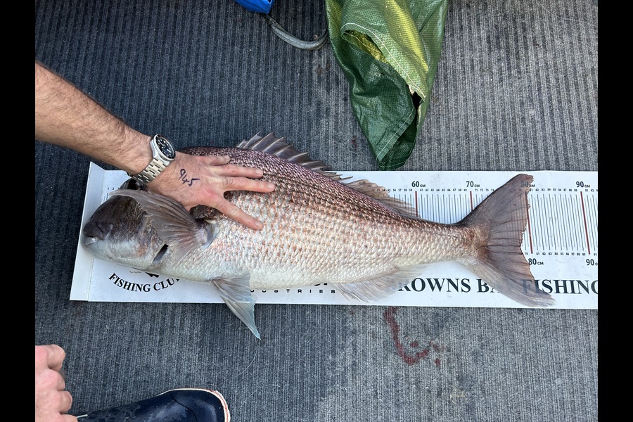 Craig Jones caught this 78.0cm Snapper at Northland during The Export NZ Fishing Competition
