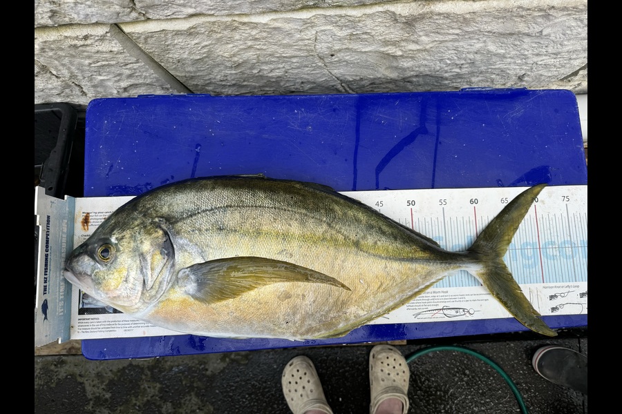 Josh Hough caught this 63.5cm Trevally at Bay of Plenty during The Export NZ Fishing Competition