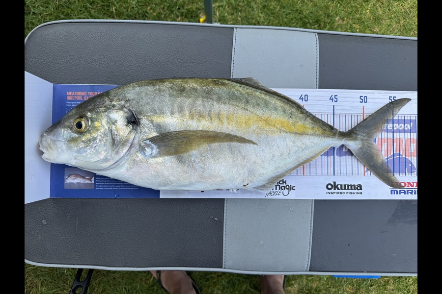 Cain Manley caught this 51.5cm Trevally at Bay of Plenty during The Export NZ Fishing Competition