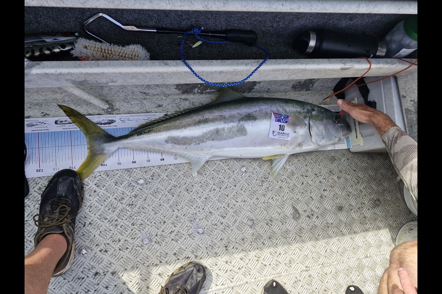 Stuart Roberts caught this 105.0cm Kingfish at Bay of Plenty during The Export NZ Fishing Competition