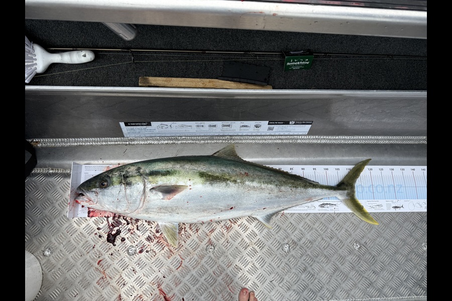 Chris Dudson caught this 112.0cm Kingfish at Bay of Plenty during The Export NZ Fishing Competition