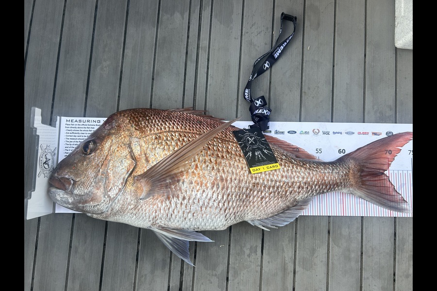 Tim Holland caught this 68.5cm Snapper at Coromandel during The Export NZ Fishing Competition