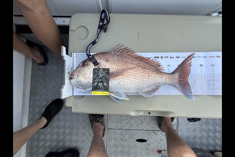 Kelly Burchett caught this 53.5cm Snapper at Coromandel during The Export NZ Fishing Competition