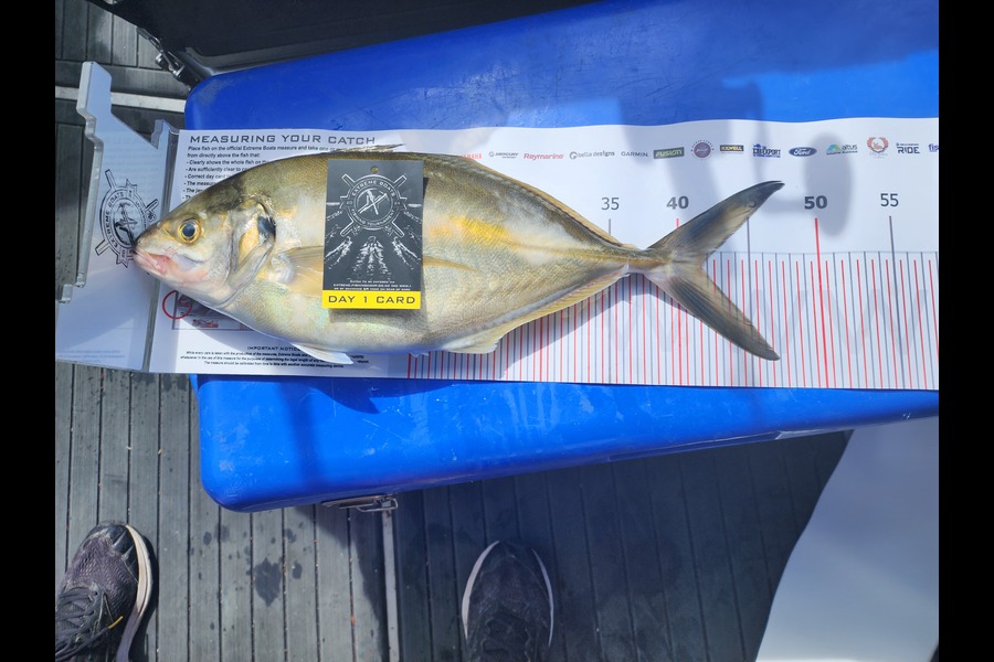 Dave  Kelly caught this 41.5cm Trevally at Coromandel during The Export NZ Fishing Competition