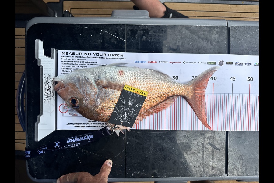 Francis Van Den Einden caught this 37.5cm Snapper at Coromandel during The Export NZ Fishing Competition