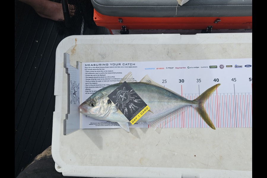 Jonathon Boyle caught this 36.0cm Trevally at Coromandel during The Export NZ Fishing Competition