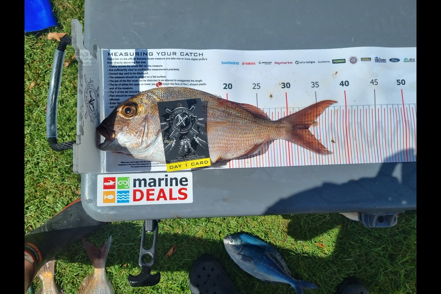 Matthew Smith caught this 33.5cm Snapper at Coromandel during The Export NZ Fishing Competition