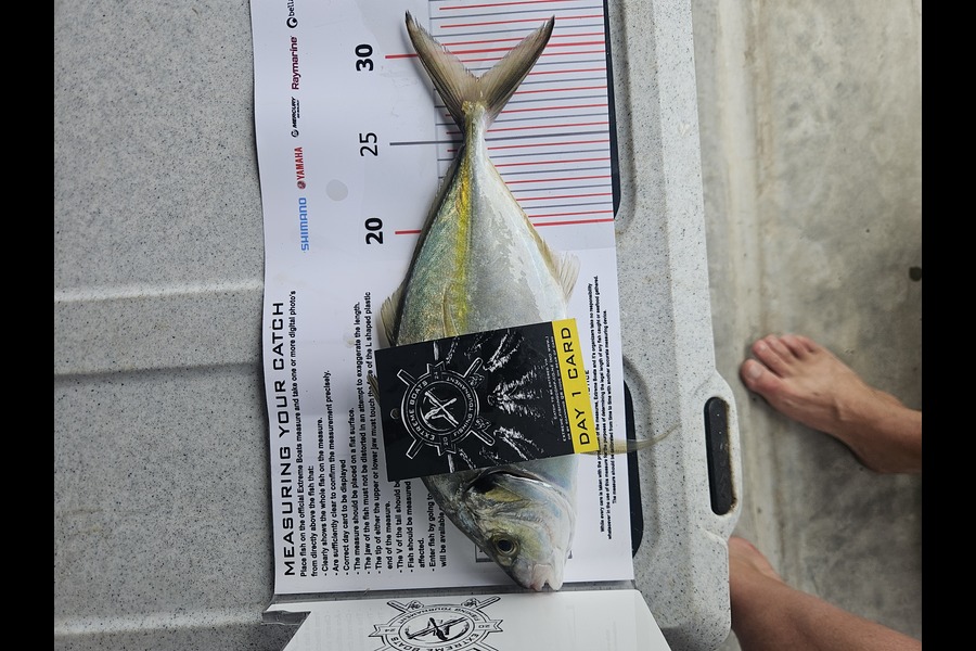 Miles Wolfsbauer caught this 28.0cm Trevally at Coromandel during The Export NZ Fishing Competition