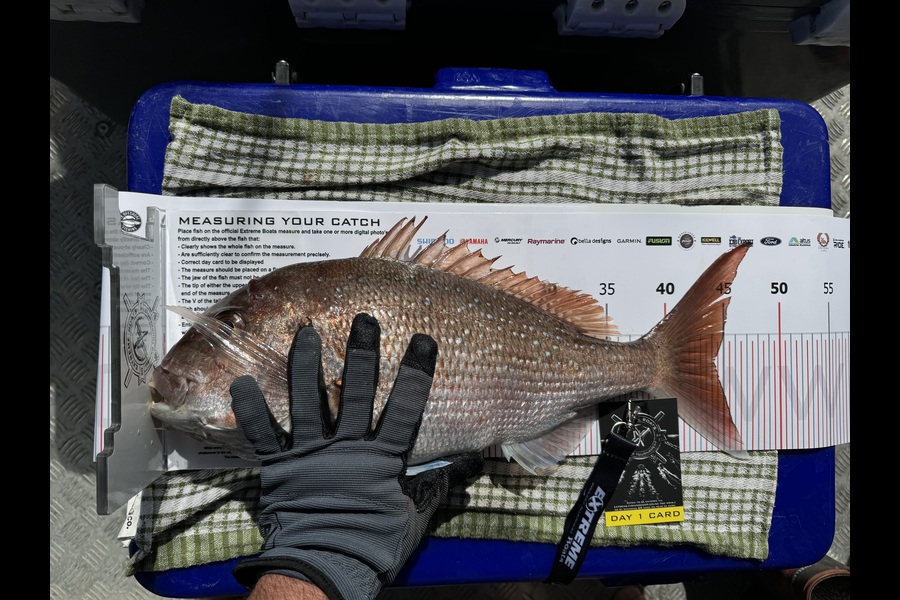 Ethan Tapper caught this 44.0cm Snapper at Coromandel during The Export NZ Fishing Competition