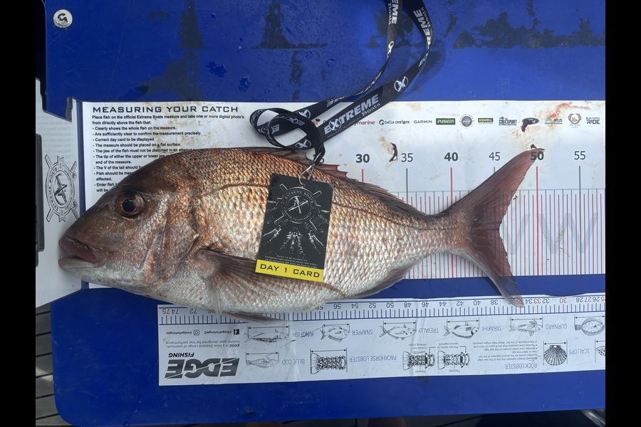 Brett Hearsey caught this 45.5cm Snapper at Coromandel during The Export NZ Fishing Competition