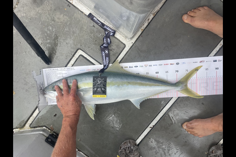 Pete Scott caught this 75.0cm Kingfish at Coromandel during The Export NZ Fishing Competition