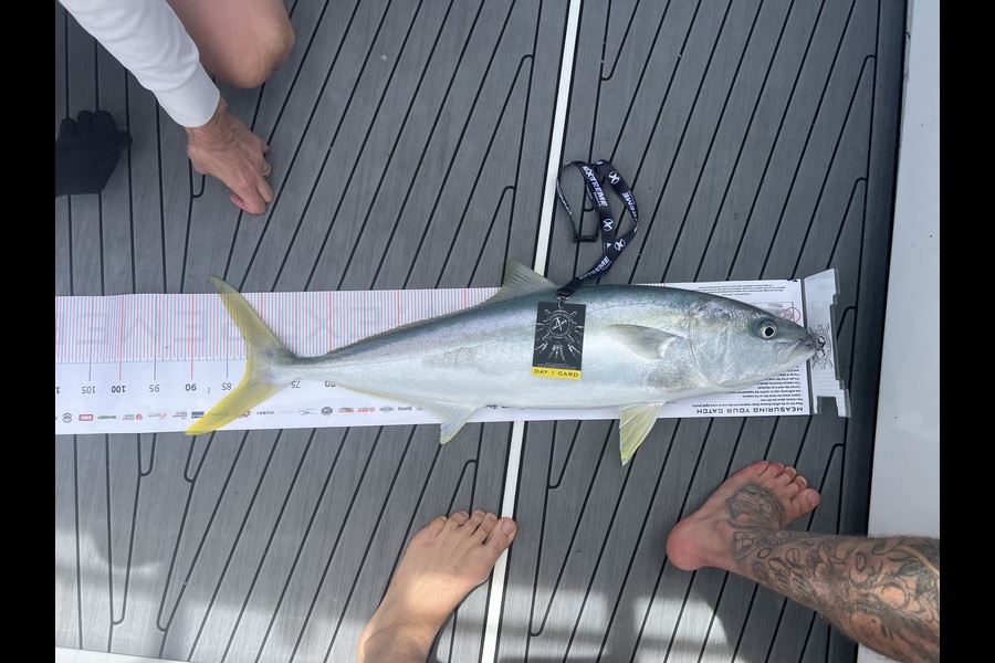 Scott  Munro caught this 82.0cm Kingfish at Coromandel during The Export NZ Fishing Competition