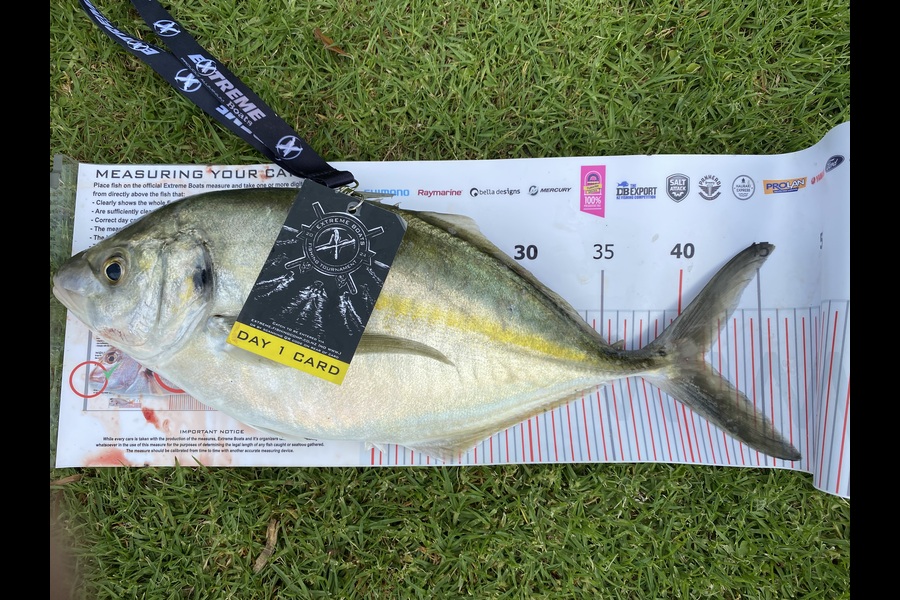 Laurie Urlich caught this 42.5cm Trevally at Coromandel during The Export NZ Fishing Competition