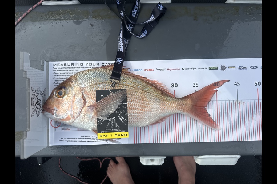 Isreal  Fussell caught this 37.0cm Snapper at Coromandel during The Export NZ Fishing Competition