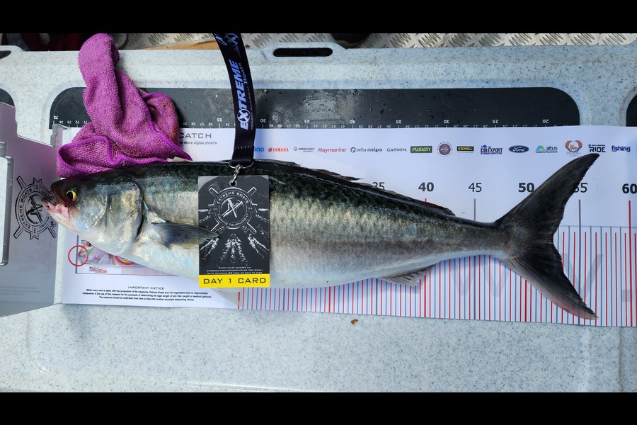 Hardy Oandasan caught this 52.5cm Kahawai at Coromandel during The Export NZ Fishing Competition