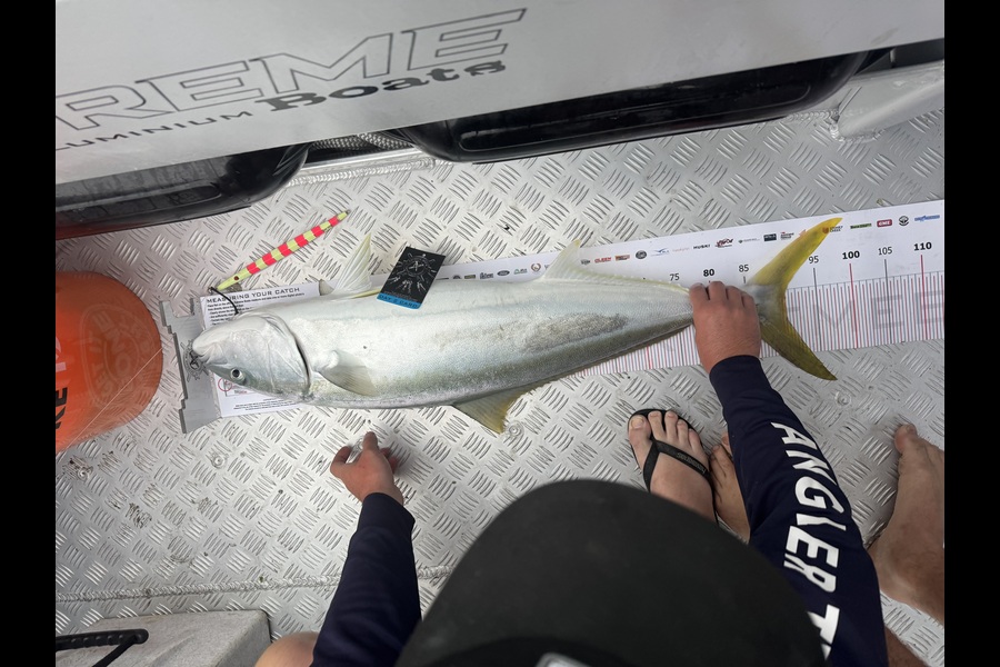 Josh  Lang caught this 90.5cm Kingfish at Coromandel during The Export NZ Fishing Competition