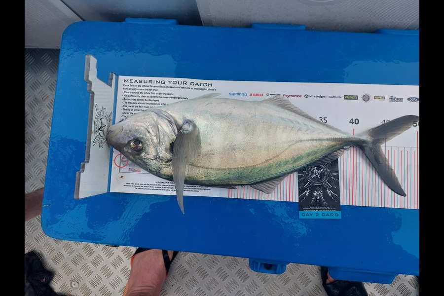 Paul Swain caught this 44.0cm Trevally at Coromandel during The Export NZ Fishing Competition