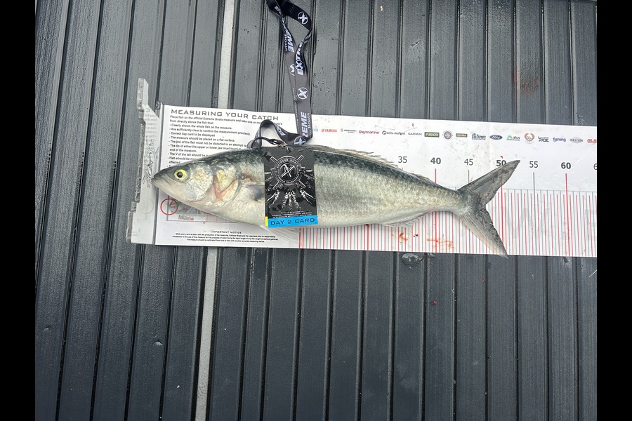 Josh Uddenberg caught this 47.5cm Kahawai at Coromandel during The Export NZ Fishing Competition