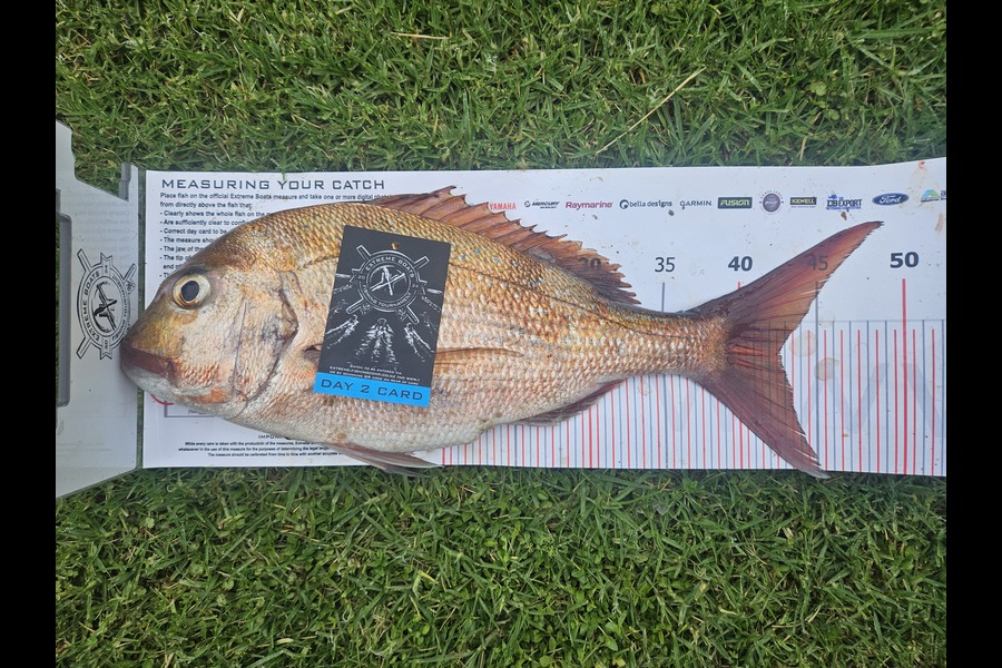 Wayne Fluhler caught this 42.5cm Snapper at Coromandel during The Export NZ Fishing Competition