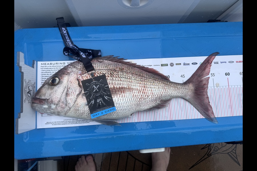 Matt Gallagher caught this 52.5cm Snapper at Coromandel during The Export NZ Fishing Competition