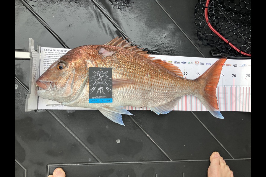 Dean Martin caught this 62.5cm Snapper at Coromandel during The Export NZ Fishing Competition