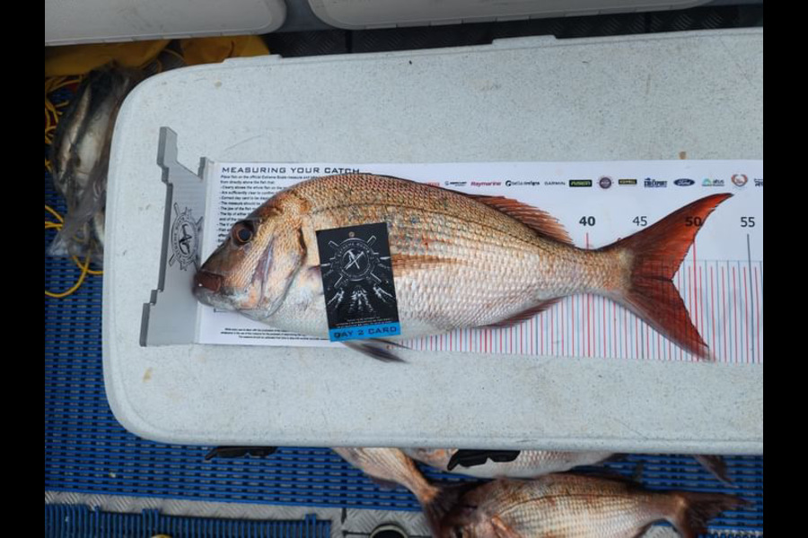 Lilybelle McHardy caught this 48.0cm Snapper at Coromandel during The Export NZ Fishing Competition