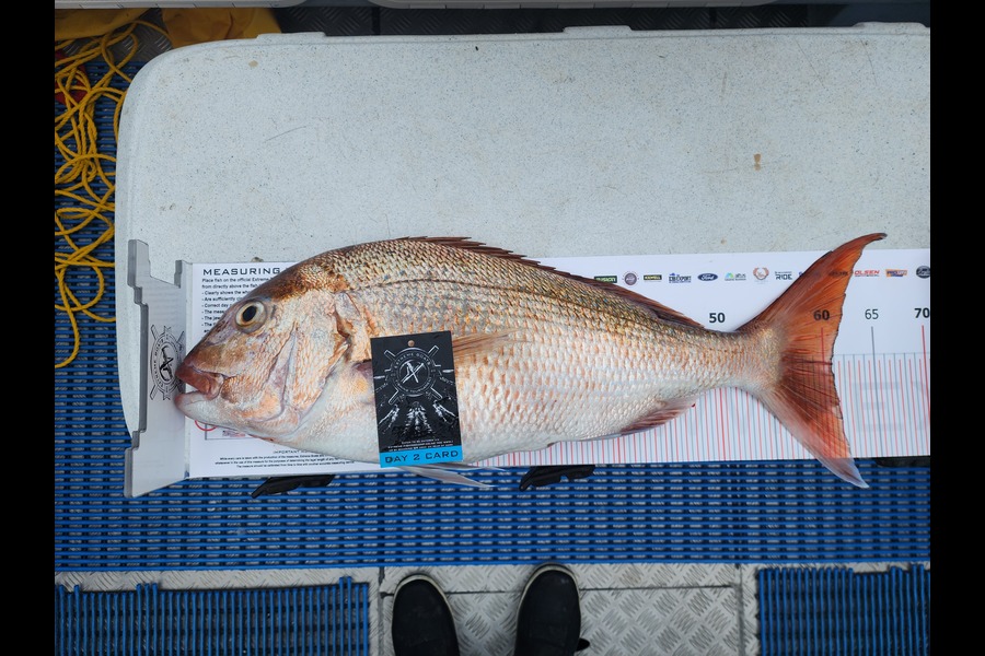 Richard  Brown caught this 60.5cm Snapper at Coromandel during The Export NZ Fishing Competition