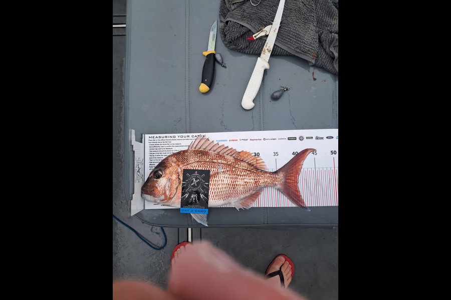 Kayla McHugh caught this 40.0cm Snapper at Coromandel during The Export NZ Fishing Competition