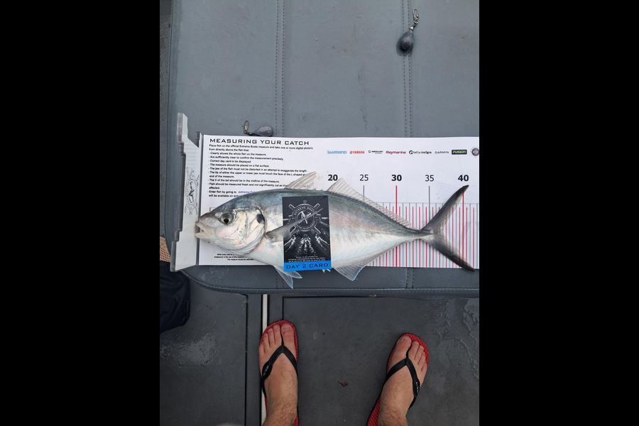 Kayla McHugh caught this 37.0cm Trevally at Coromandel during The Export NZ Fishing Competition
