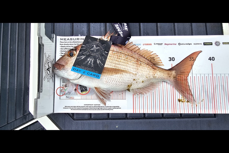 Julie Stubbs caught this 33.5cm Snapper at Coromandel during The Export NZ Fishing Competition