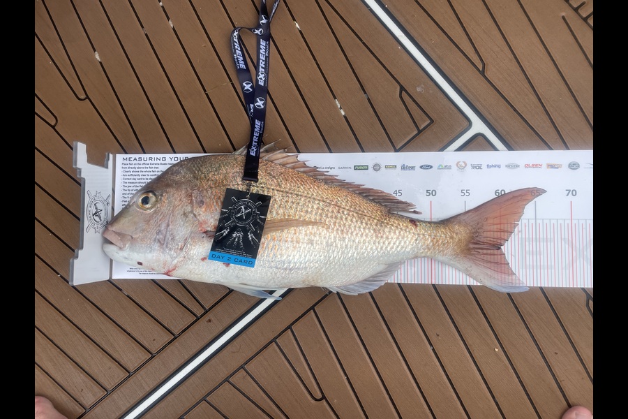 Brian Rastrick caught this 60.0cm Snapper at Coromandel during The Export NZ Fishing Competition