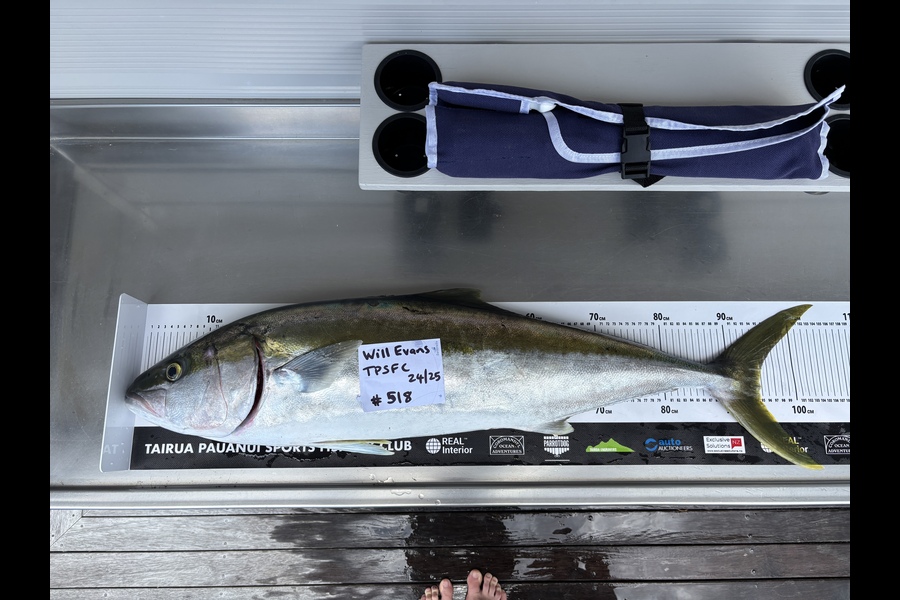 Will Evans caught this 94.5cm Kingfish at Coromandel during The Export NZ Fishing Competition