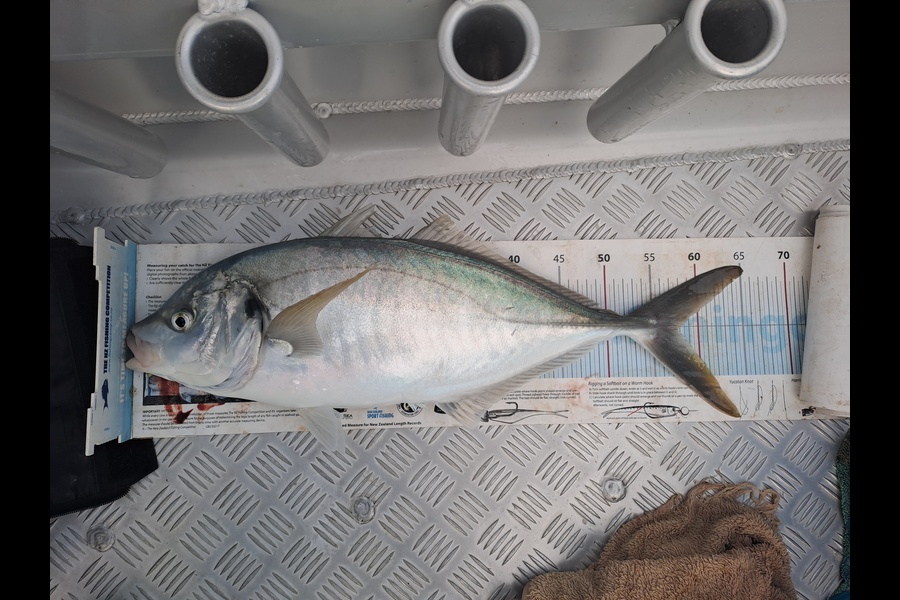 Adam Bowden  caught this 57.5cm Trevally at Northland during The Export NZ Fishing Competition