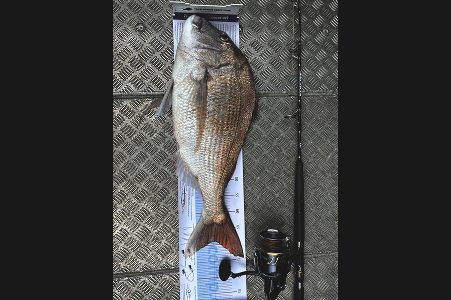 Heta Smith caught this 69.0cm Snapper at Taranaki during The Export NZ Fishing Competition