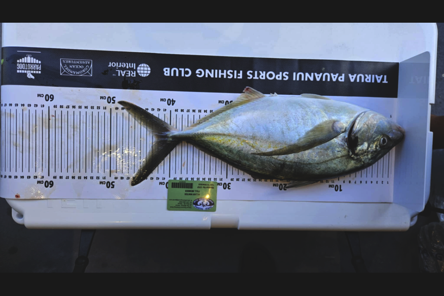 Allan Winter caught this 42.0cm Trevally at Coromandel during The Export NZ Fishing Competition