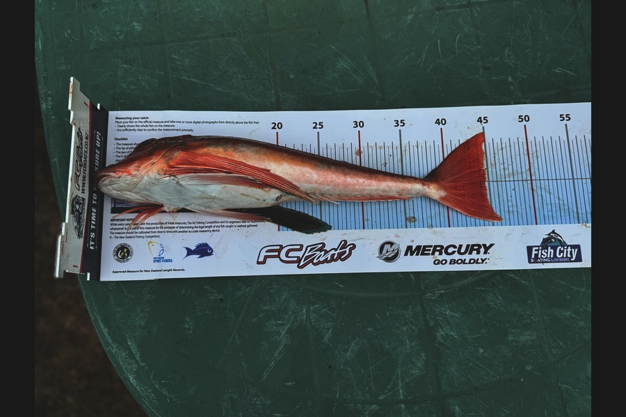 Dean OBrien caught this 44.5cm Gurnard at Wairarapa
 during The Export NZ Fishing Competition
