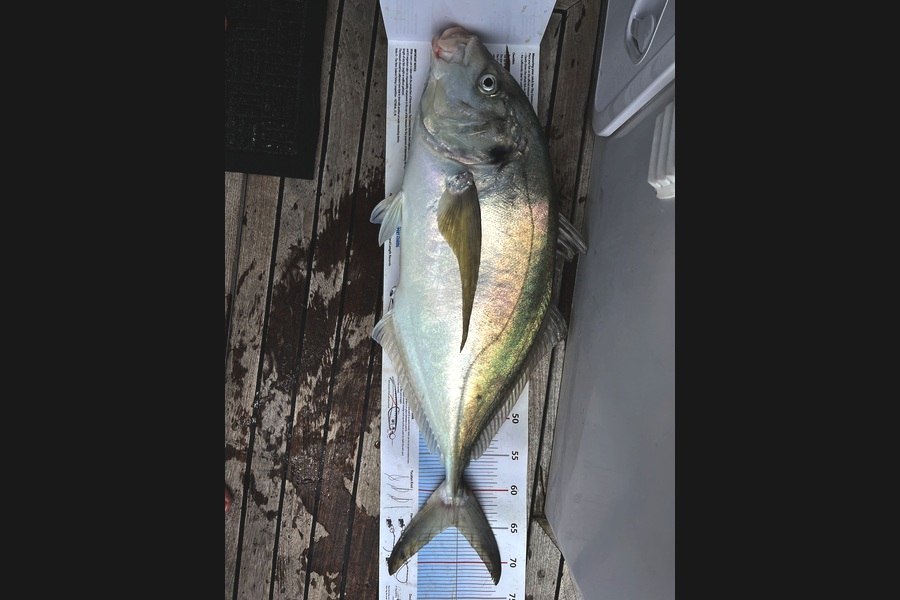 Jarred Clayton caught this 64.5cm Trevally at Northland during The Export NZ Fishing Competition