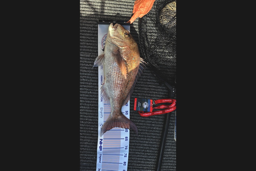 Josh Robbins caught this 57.0cm Snapper at Northland during The Export NZ Fishing Competition