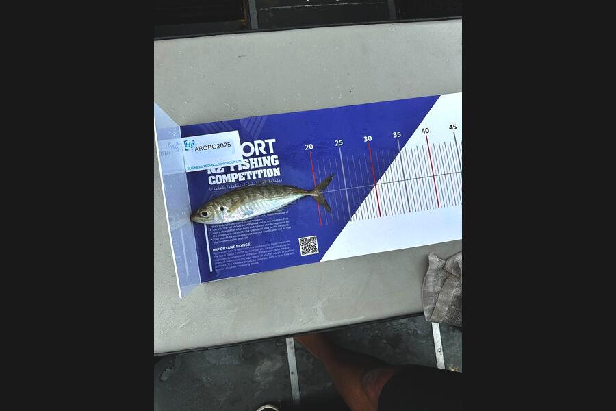 Codey Hunt caught this 21.0cm Other at Auckland during The Export NZ Fishing Competition